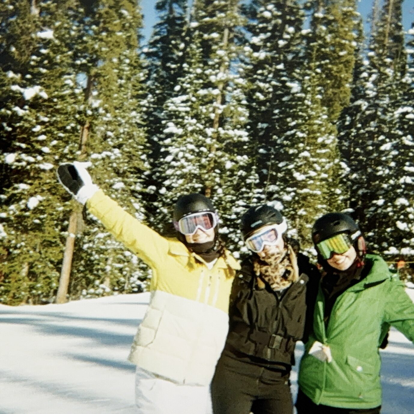 Dispo ski trip screensho